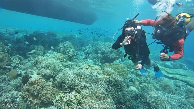 怎样去除厨房顽固油污?-专业知识星球平台